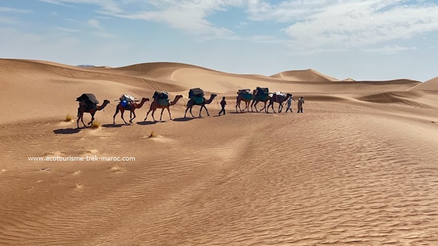 découvrez nos conseils pour explorer le désert marocain : des astuces pour bien vous préparer, des destinations incontournables, et des recommandations sur les meilleures activités à faire. profitez d'une expérience inoubliable au cœur de paysages spectaculaires.