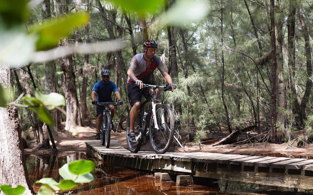 découvrez les meilleures pistes de vtt pour des aventures inoubliables. des sentiers adaptés à tous les niveaux, avec des paysages à couper le souffle et des sensations fortes garanties. préparez-vous à explorer et à pédaler sur les meilleures pistes de vtt en france!