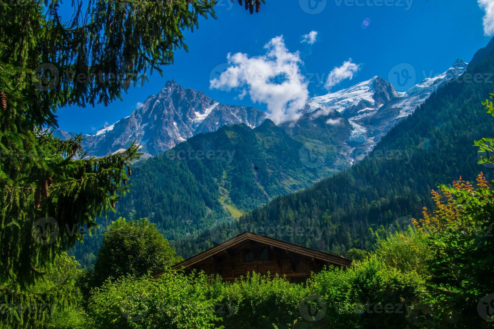 découvrez la beauté des paysages estivaux des alpes, où montagnes majestueuses, lacs cristallins et prairies fleuries s'entremêlent pour offrir un cadre naturel exceptionnel. parfait pour les amoureux de la nature et les aventuriers en quête d'évasion.